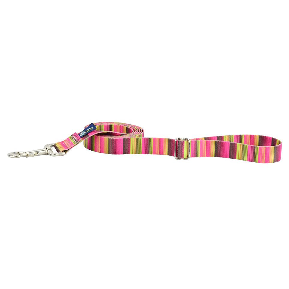 Bonnie EarthStyle Dog Leash